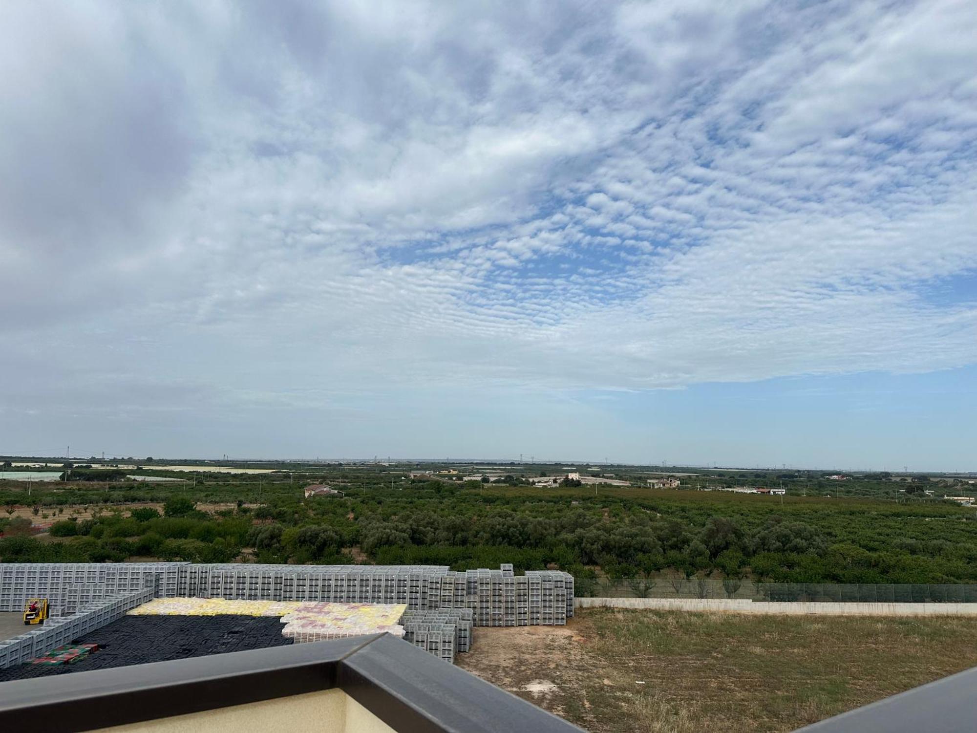 Attico Al Sovrano - Nel Cuore Della Puglia! トゥーリ エクステリア 写真