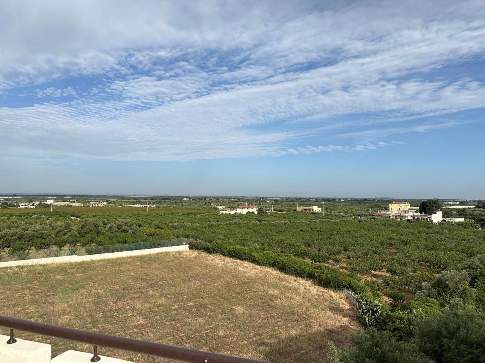 Attico Al Sovrano - Nel Cuore Della Puglia! トゥーリ エクステリア 写真